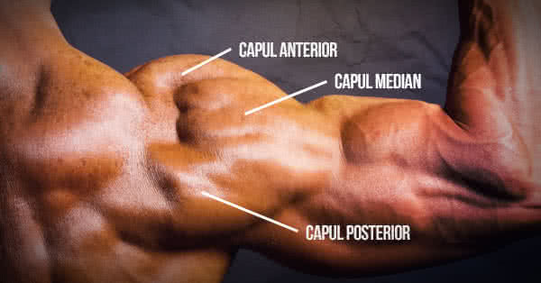Exerciții pentru umeri - cele trei capuri Exerciții pentru umeri - cele trei capuri