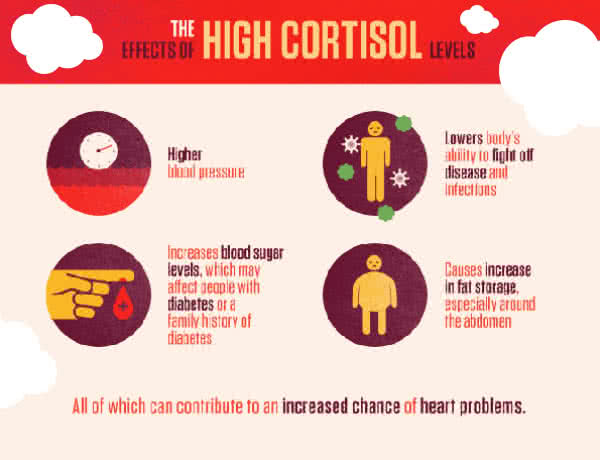 Un alt sabotor: cortizolul Un alt sabotor: cortizolul