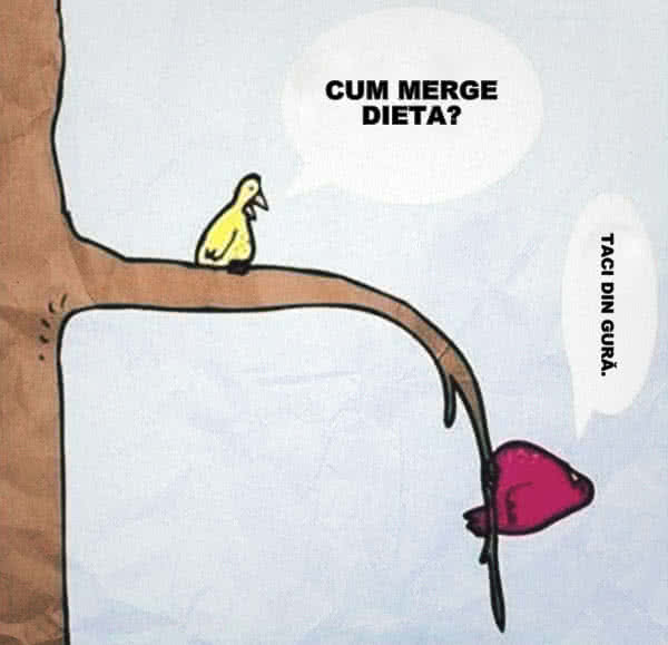 De ce nu pot să slăbesc? De ce nu pot să slăbesc?