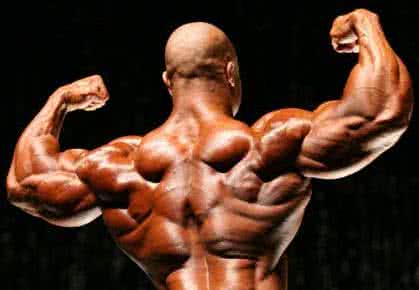 Antrenamentul lui Phil Heath pentru tricepși