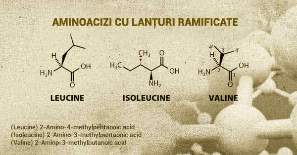 BCAA - curs intensiv, dacă ești dornic de cunoaștere BCAA în timpul antrenamentului